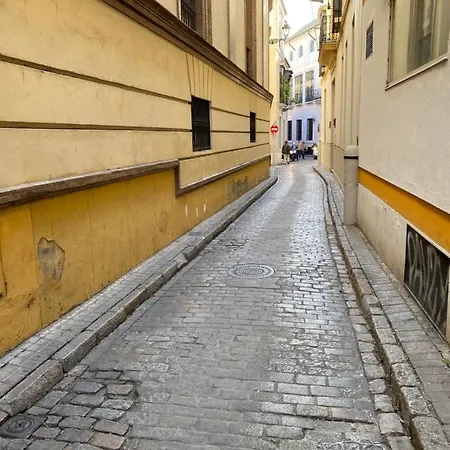 Clb F. Rubio * Sewilla